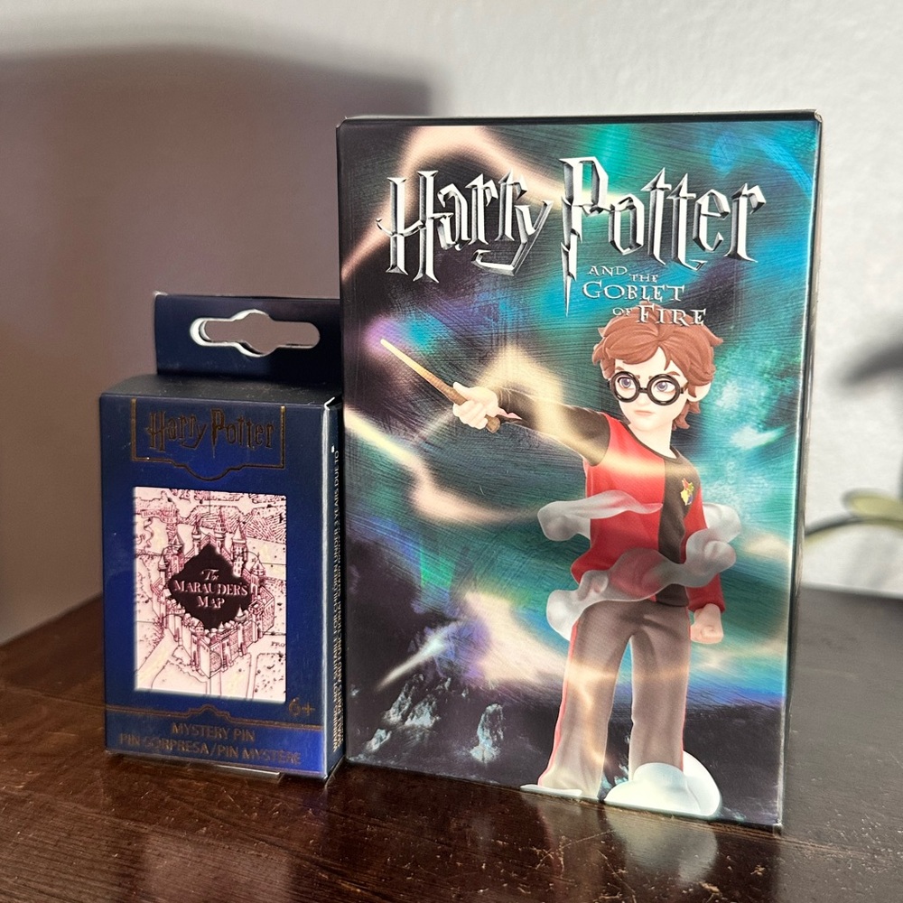 Harry Potter Mystery Pin Set - Black